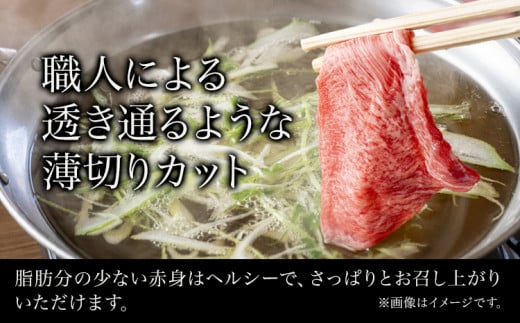 和歌山産 高級和牛 熊野牛 赤身しゃぶしゃぶ用 約600g エバグリーン《30日以内に出荷予定(土日祝除く)》 和歌山県 日高町 牛 うし 牛肉 熊野牛  和牛 高級 - 和歌山県日高町｜ふるさとチョイス - ふるさと納税サイト