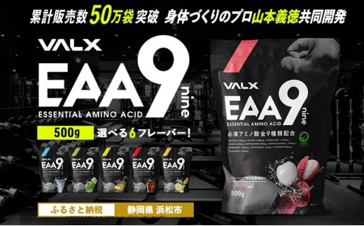 VALX EAA9 500g 【山本義徳 アンチドーピング 国産 パウダー サプリメント 健康食品 男性 女性 筋トレ BCAA オススメ バルクス  浜松市 静岡県】 [№5360-0058] - 静岡県浜松市｜ふるさとチョイス - ふるさと納税サイト