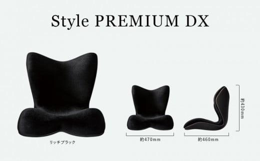 Style PREMIUM DX - 愛知県名古屋市｜ふるさとチョイス - ふるさと納税サイト