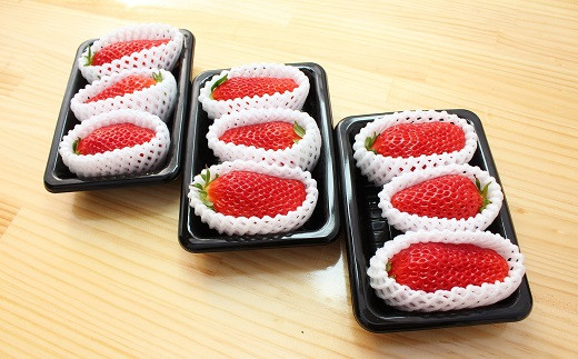 パッケージ方法等は変更になる場合があります。