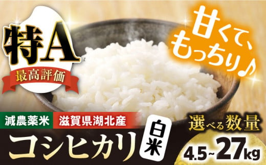 令和6年産【新米】 滋賀県湖北産 湖北のコシヒカリ 18kg(白米)　滋賀県長浜市/株式会社エース物産[AQAK006] 米 お米 ご飯 ごはん ゴハン 1029917 - 滋賀県長浜市