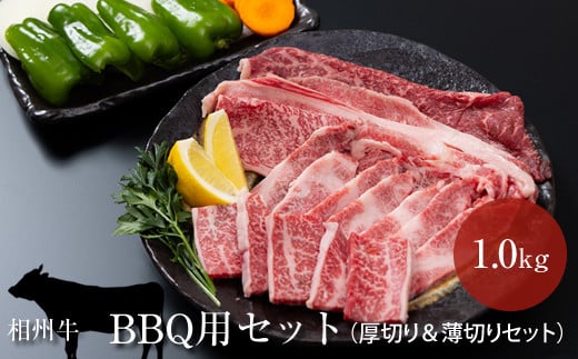 相州牛　BBQ用セット　1.0kg （厚切り＆薄切りセット） 【 牛肉 お肉 ブランド牛 神奈川県 南足柄市 】 1484569 - 神奈川県南足柄市