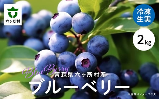 青森県六ヶ所村のふるさと納税 お礼の品ランキング【ふるさとチョイス】