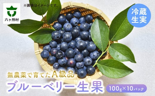 《先行予約 2025年7月～順次出荷》ブルーベリー生実 A級品　1kg　100g×10パック 1343307 - 青森県六ヶ所村