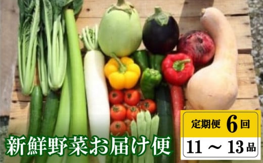 定期便  全 6回 6ヶ月 年末限定 半年 プレミアム 定期便 季節 旬の 野菜 詰め合わせ セット 11 ～ 13 品  小松菜 大根 だいこん トマト パプリカ ピーマン にんじん 人参 かぼちゃ きゅうり ししとう なす みょうが 頒布会 高知県 須崎市 1105545 - 高知県須崎市