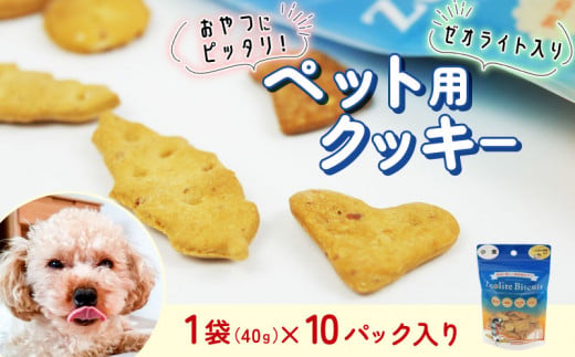 ビスケット 40g×10p 国産 ペットフード おやつ 小分け ペット 犬 いぬ イヌ ドッグ 間食 無添加 小麦 はちみつ ハチミツ 蜂蜜 プレーン ご褒美 動物 オヤツ 犬用 静岡県 沼津市 1549119 - 静岡県沼津市