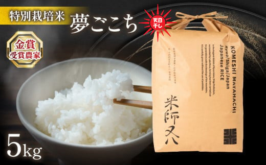 令和6年産 新米 夢ごこち 5kg 天日干し ( 2024年産 ブランド 米 rice 精米 白米 ご飯 内祝い もちもち 国産 送料無料 滋賀県 竜王 ふるさと納税 ) 1511472 - 滋賀県竜王町