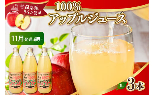 【2024年11月発送】りんごジュースストレート 1L×3本 青森 完熟リンゴ果汁100％品種ブレンド 1510558 - 青森県五所川原市