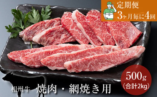 【定期便：3ヶ月毎に4回】相州牛（焼肉・網焼き用）500g【合計２kg】 【 牛肉 お肉 ブランド牛 神奈川県 南足柄市 】 1484577 - 神奈川県南足柄市