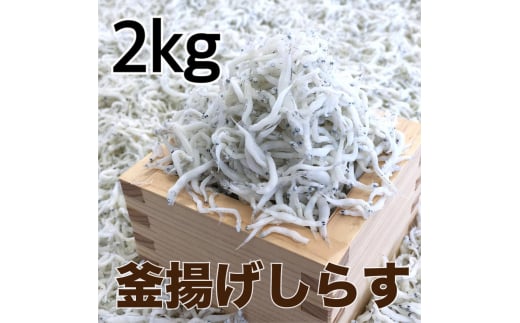 釜揚げしらす2kg(500g×4パック) / シラス 厳選 小分け 冷蔵便【dig014】 1501469 - 和歌山県古座川町