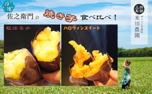 米川農園 佐之衛門 の 焼き芋 食べ比べセット【 紅はるか （400g×2袋）×ハロウィンスイート （400ｇ×2袋）】 計1600g 冷凍 焼きいも 1.6kg 食べ比べ 国産 348842 - 茨城県鉾田市