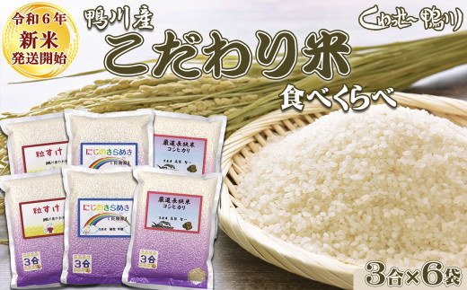 W01701 【新米】令和６年産 「SDGsなコシヒカリ」白米10kg / 米 こめ コメ 白米 精米 こしひかり コシヒカリ 籠米 バスケットボール  esDGs OTAKI.EXE SDGs 大多喜町 千葉県 - 千葉県大多喜町｜ふるさとチョイス - ふるさと納税サイト