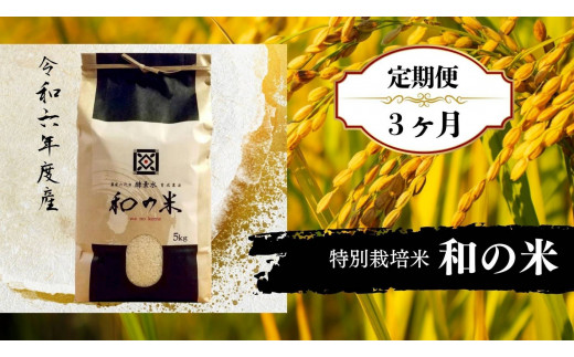 【3ヵ月定期便】＼令和6年産／和の米「酵素米」　精米5kg×3回 277663 - 茨城県利根町