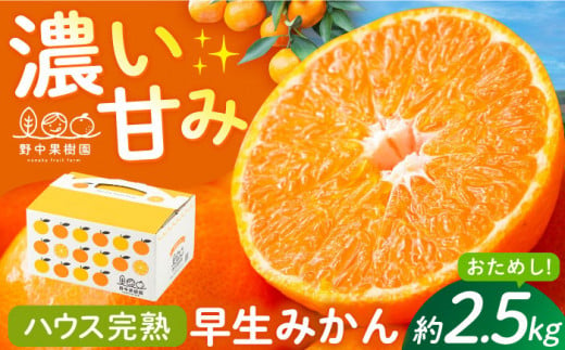 【先行予約】ハウス完熟早生みかん　お試し約2.5キロ箱＜1月上旬以降発送＞ 長崎県/野中果樹園 [42AAAP002] 長崎県産 みかん かんきつ 柑橘 フルーツ 果物 旬 ミカン オレンジ 贈答 ギフト 贈り物 お取り寄せ プレゼント 1419468 - 長崎県長崎県庁