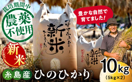 【白米】糸島産 雷山 のふもと 栽培期間中 農薬不使用 の 米 10kg（5kg×2）ひのひかり ヒノヒカリ 糸島市 / ツバサファーム[ANI002-1] 1128923 - 福岡県糸島市