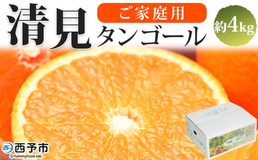 [愛媛県西予市産 清見タンゴール ご家庭用 約4kg] 訳あり ワケアリ 果物 フルーツ みかん ミカン 蜜柑 オレンジ きよみ キヨミ 柑橘類 食べて応援 旬 特産品 宇都宮物産 愛媛県 西予市[常温]