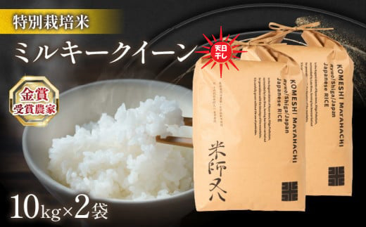 令和6年産 新米 ミルキークイーン 20kg ( 10kg × 2袋 ) 天日干し ( 金賞受賞農家 2024年産 ブランド 米 おすすめ 米 rice 精米 白米 ご飯 内祝い もちもち 国産 送料無料 滋賀県竜王町 ふるさと納税 )