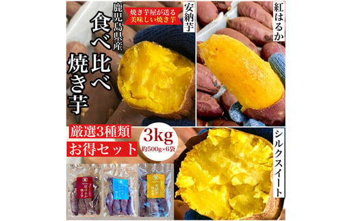 2682 鹿児島県産 さつまいも 【3種食べ比べ】 焼き芋 3kg(500g×6袋) 蜜芋 さつまいも【クール便配送】【いも 芋 さつま芋 蜜芋 紅はるか 安納芋 シルクスイート 焼き芋 スイーツ 食べ比べ 詰め合わせ】 1511031 - 鹿児島県鹿屋市