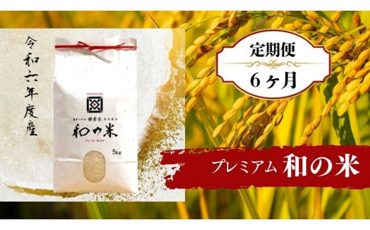 【6ヵ月定期便】＼令和6年産／和の米「酵素米」プレミアム　精米5kg×6回 277661 - 茨城県利根町