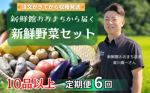 【定期便/6か月】注文が来てから収穫発送！収穫したばかりの新鮮野菜セット 《10品以上保証》 季節のお野菜 おまかせ お楽しみ 獲れたて産地直送 旬 鍋 冬野菜 ベジタブル ヘルシー 健康   詰め合わせ 一関市