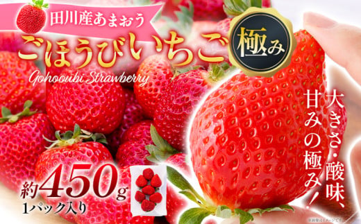 あまおう ごほうびいちご 極み 田川産あまおう 450g ＜2025年1月以降順次発送予定＞ あまおう いちご 苺 大粒 フルーツ 果物 お取り寄せ ご当地グルメ 福岡土産 取り寄せ グルメ 福岡県 食品 497820 - 福岡県田川市