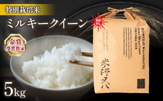 令和6年産 新米 ミルキークイーン 5kg 天日干し ( 金賞受賞農家 2024年産 ブランド 米 五キロ 米 おすすめ 米 rice 精米 白米 ご飯 内祝い もちもち 国産 送料無料 滋賀県竜王町 ふるさと納税 ) 1511481 - 滋賀県竜王町