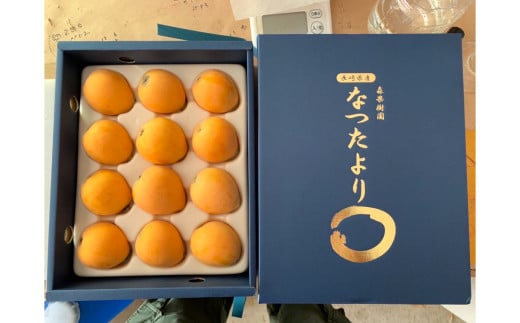 枇杷「なつたより」1kg ／ 果物 くだもの フルーツ ビワ びわ 長崎県 長崎市【2025年5月上旬より順次発送予定】