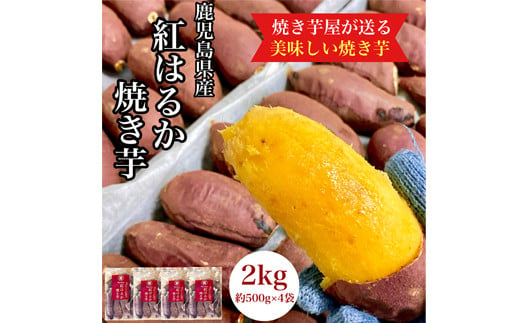 2671 鹿児島県産 さつまいも 紅はるか 焼き芋 2kg 蜜芋 さつまいも 【クール便配送】【いも 芋 さつま芋 蜜芋 紅はるか 焼き芋 スイーツ】 1511020 - 鹿児島県鹿屋市