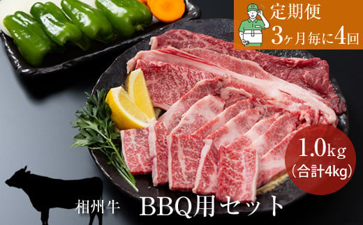 【定期便：3ヶ月毎に4回】相州牛（BBQ用セット）1.0kg 【合計4kg】 【 牛肉 お肉 ブランド牛 神奈川県 南足柄市 】 1484582 - 神奈川県南足柄市