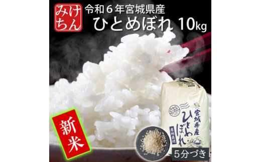 ＜新米＞令和6年産　宮城県産ひとめぼれ10kg　5分づき【1552904】 1502550 - 宮城県村田町