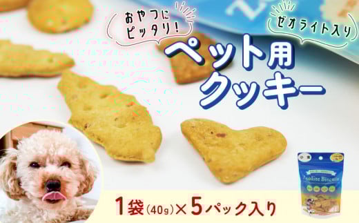 ビスケット 40g×5p 国産 ペットフード おやつ 小分け ペット 犬 いぬ イヌ ドッグ 間食 無添加 小麦 はちみつ ハチミツ 蜂蜜 プレーン ご褒美 動物 オヤツ 犬用 静岡県 沼津市 1549110 - 静岡県沼津市