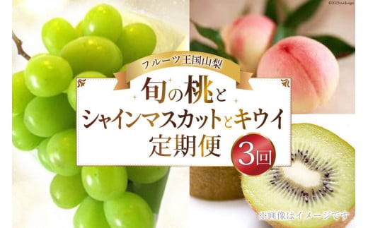 【先行受付】【3回 定期便 】山梨県産 フルーツ 『 桃 2kg & シャインマスカット 1.8kg & キウイフルーツ 1.5kg』 [ えべし 山梨県 中央市 21470867] 果物 くだもの もも マスカット キウイ