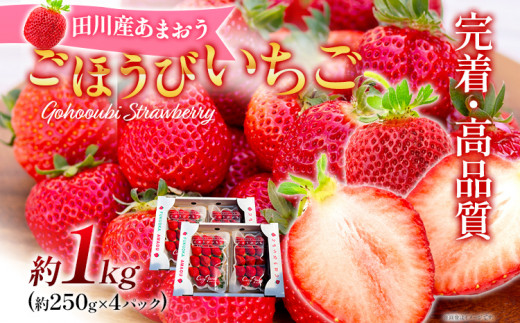 あまおう ごほうびいちご 約1kg（約250g×4パック） ＜2025年1月以降順次発送予定＞ いちご 苺 高品質 完熟 フルーツ 果物 お取り寄せ ご当地グルメ 福岡土産 取り寄せ グルメ 福岡県 食品 497802 - 福岡県田川市