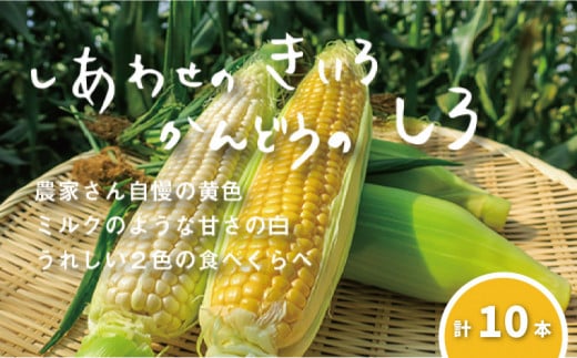 【先行予約】大地の恵み 「とうもろこし2色セット」10本　北海道 栗山町 産地直送　YC081 361609 - 北海道栗山町