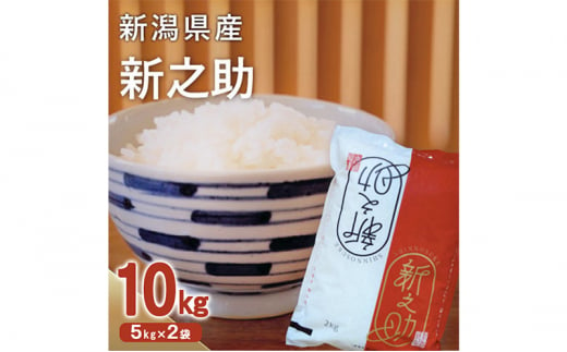 新之助10kg（5kg×2袋）お米 白米 精米 米 コメ しんのすけ ご飯 ごはん 新潟県産 1502607 - 新潟県新潟市