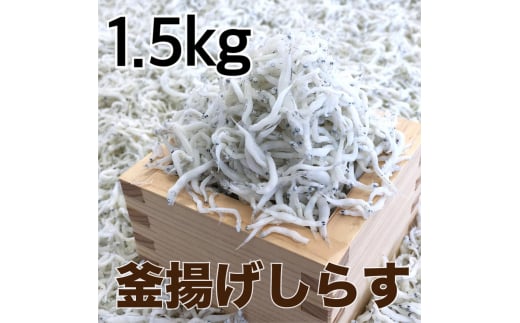 釜揚げしらす1.5kg(500g×3パック) / シラス 厳選 小分け 冷蔵便【dig013】 1501735 - 和歌山県串本町