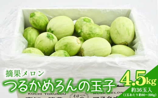 メロン つるかめろんの玉子(摘果メロン) 4.5kg 約36玉 - マスクメロン めろん フルーツ くだもの 果物 おやつ おつまみ アレンジ 料理 お漬物 お漬け物 炒め物 天ぷら 子メロン 小さい 産地直送 篤農 tn-0016