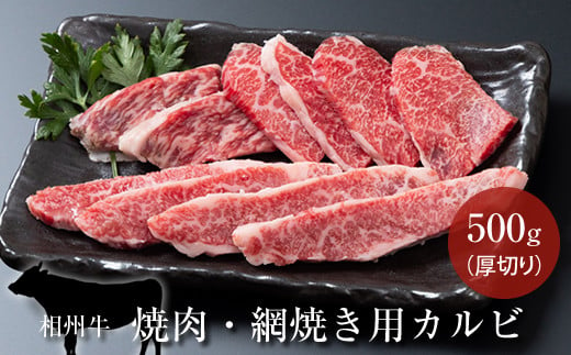 相州牛 焼肉・網焼き用カルビ　500g（厚切り） 【 牛肉 お肉 ブランド牛 神奈川県 南足柄市 】 1484564 - 神奈川県南足柄市