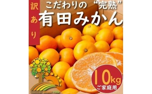 【訳あり】有田みかん 約10kg【2024年10月下旬より順次発送】 1502295 - 和歌山県高野町