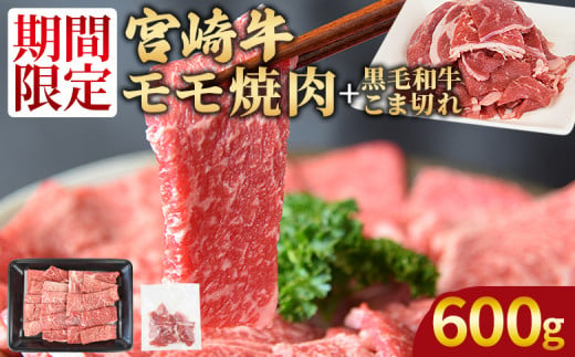 ＜宮崎牛モモ焼肉500g ＋ 宮崎県産黒毛和牛こま切れ100g＞1か月以内に順次出荷【 国産牛 肉 牛肉 精肉 モモ もも 焼肉 焼き肉 ヤキニク 牛こま こま BBQ パーティー お取り寄せグルメ セット 】 1501702 - 宮崎県国富町