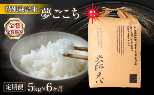 令和6年産 新米 夢ごこち 5kg × 6ヶ月 天日干し 6回 定期便 計 30kg ( 2024年産 ブランド 米 rice 精米 白米 ご飯 内祝い もちもち 国産 送料無料 滋賀県 竜王 ふるさと納税 )