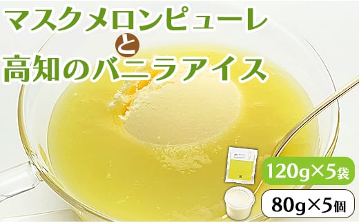 ピューレ メロンピューレ バニラアイスクリーム 5個セット テレビ「めざましどようび キクエがキクヨ！」で紹介 JALファーストクラス機内食に採用 - 果物 くだもの めろん 果汁100% 丸搾り ストレート アイスクリーム 篤農 tn-0021 1502379 - 高知県香南市