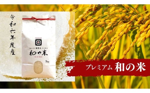 ＼令和6年産／和の米　「酵素米」　プレミアム　精米5kg 253302 - 茨城県利根町