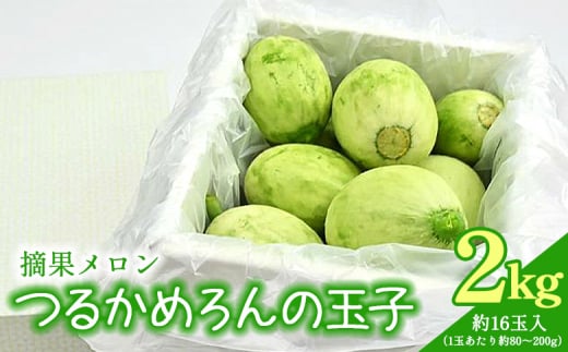 メロン つるかめろんの玉子(摘果メロン) 2kg 約16玉 - マスクメロン めろん フルーツ くだもの 果物 おやつ おつまみ アレンジ 料理 お漬物 お漬け物 炒め物 天ぷら 子メロン 小さい 産地直送 篤農 tn-0015 1502376 - 高知県香南市