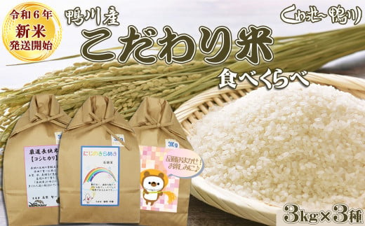 《令和６年新米》【くわっせ～鴨川】鴨川産 『こだわり米』食べくらべセット《精米》 ３kg×３品種　[0020-0089] 570831 - 千葉県鴨川市