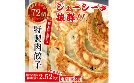 【3ヶ月定期便】宇都宮餃子専門店 悟空 特製肉餃子24個入×3ヶ月 ｜ 餃子 冷凍 ぎょうざ ギョーザ 名物 惣菜 国産野菜 国産豚肉 おかず 弁当 晩ご飯 晩酌 おつまみ お取り寄せ グルメ 簡単調理 お手軽 時短 冷凍食品 小分け 栃木県 宇都宮市 ※離島への配送不可 1501627 - 栃木県宇都宮市