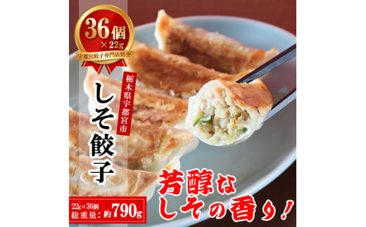 【年内発送 12/15迄受付】宇都宮餃子専門店 悟空 しそ餃子 22g×36個入｜餃子 冷凍 ぎょうざ ギョーザ 惣菜 国産野菜 国産豚肉 おかず 弁当 晩酌 おつまみ お取り寄せ グルメ 簡単調理 お手軽 時短 冷凍食品 栃木県 宇都宮市 ※離島への配送不可 1442371 - 栃木県宇都宮市