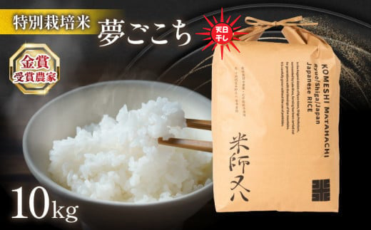 令和6年産 新米 夢ごこち 10kg 天日干し ( 2024年産 ブランド 米 rice 精米 白米 ご飯 内祝い もちもち 国産 送料無料 滋賀県 竜王 ふるさと納税 ) 1511473 - 滋賀県竜王町