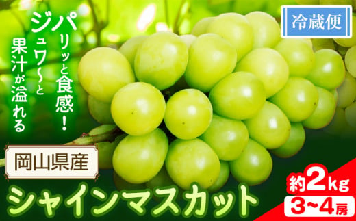 シャインマスカット 約2kg (3-4房)【配送不可地域あり】 花田青果株式会社《2025年9月上旬-10月末頃出荷》マスカット 送料無料 岡山県 浅口市 シャインマスカット ぶどう フルーツ 果物 贈り物 ギフト