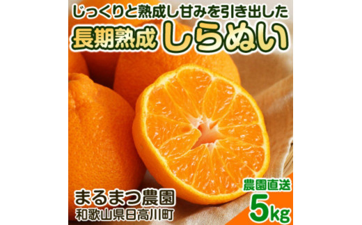 長期熟成しらぬい 約5kg 濃厚なコクと甘さ 農家直送 和歌山県産 【2025年5月中旬頃順次発送】 1501694 - 和歌山県九度山町